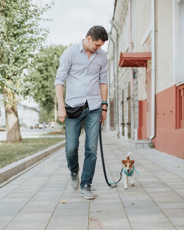Man walking his dog outdoors, moving freely and pain-free